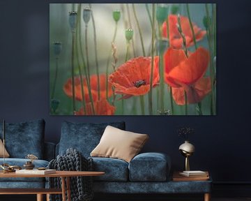 Malerische Mohnblumen von Arja Schrijver Fotografie