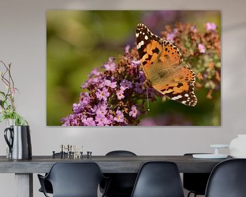 painted lady on a summer lilac