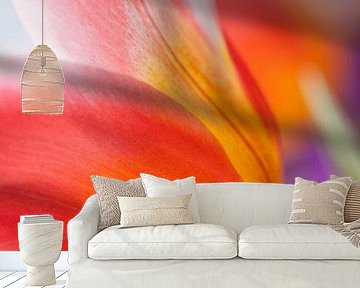 Flowers in Keukenhof by Ramon Bovenlander