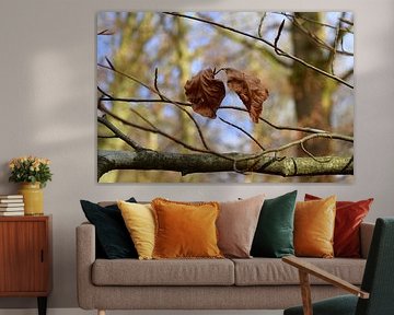 Deux feuilles d'automne sur un arbre