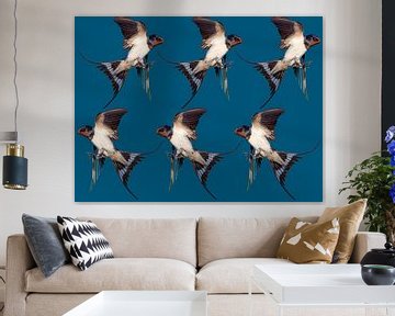 6 birds by Fela de Wit