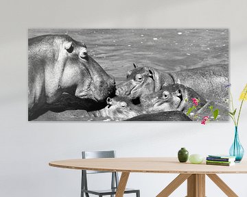 Nijlpaard familie van Annemarie Winkelhagen