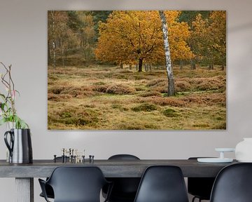 Heath landscape with birch in autumn by Merijn van der Vliet