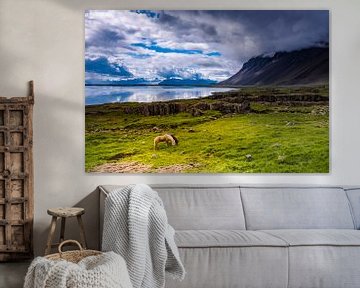Icelandic horses by Edwin van Wijk