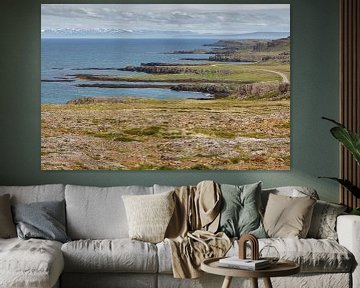 Icelandic landscape sur Menno Schaefer