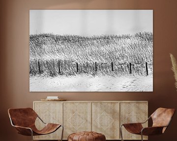 Gras duinen in zwart/wit van Peter Schütte