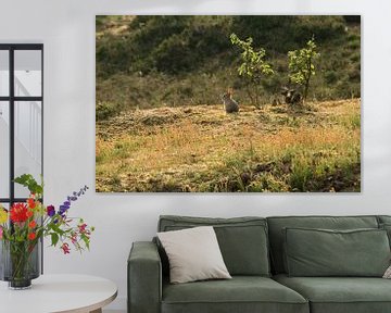 enjoy the view van Saskia Toonen