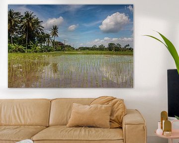 Rijstveld op Bali van Ilya Korzelius