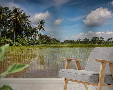 Reisfeld auf Bali von Ilya Korzelius