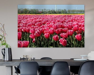 Tulpen in de Noordoostpolder van Arline Photography