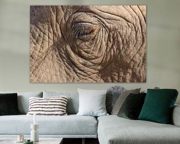 Oog van een Afrikaanse olifant. van Ron Poot