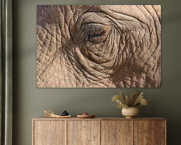 Oog van een Afrikaanse olifant. van Ron Poot