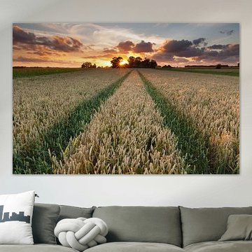 Summer sunset by Ron Buist