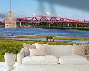 Hanzeboog railway bridge Zwolle by Anton de Zeeuw