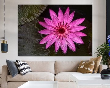 Roze lotusbloem  van Marcel van Balken