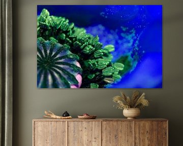 Onderwater Papaver in Blauw von Dirk Huijssoon