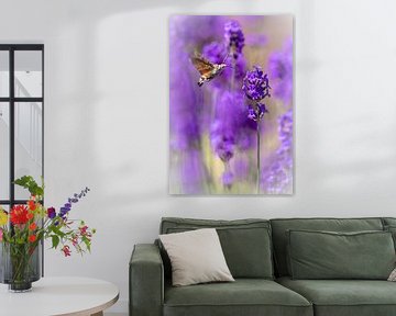 kolibrievlinder van Maria  Van Dijk