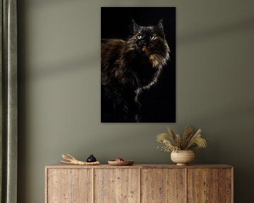 Portrait d'un chat. sur Hennnie Keeris