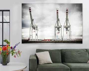 Three Harbour Cranes by Tony Buijse