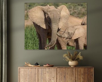 Afrikaanse olifant met jong. van Ron Poot