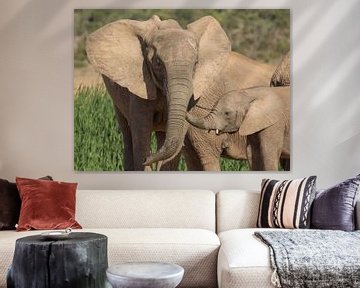 Afrikanischer Elefant, weiblich mit jungem.  von Ron Poot