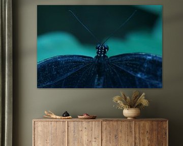 Papilio polytes vlinder van Sandra Loermans-Borgman