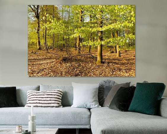 Aperçu de la chambre