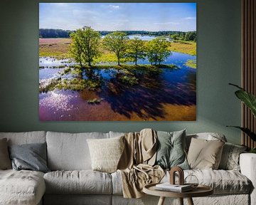 Galderse Heide, Mastbos Breda, The Netherlands - Aerial Shot - Summer van Lars Scheve