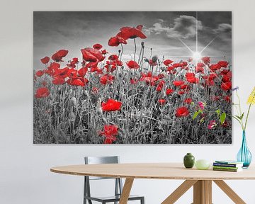 Idyllic Field of Poppies with Sun by Melanie Viola