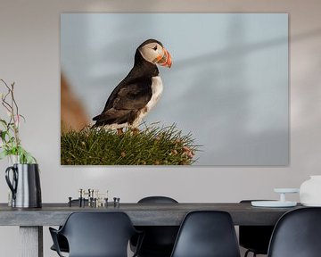 Puffin  sur Menno Schaefer