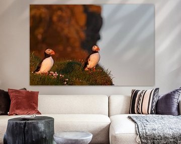 Puffins sur Menno Schaefer