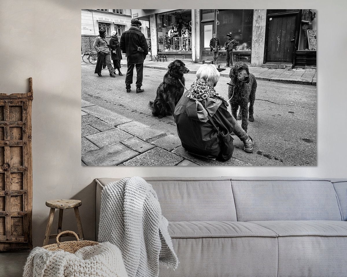Aperçu de la chambre
