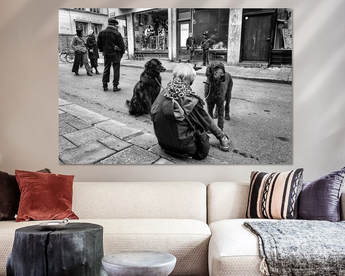 Aperçu de la chambre