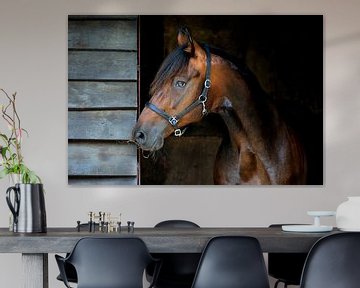 Bruin paard in staldeur  van Studio Nooks