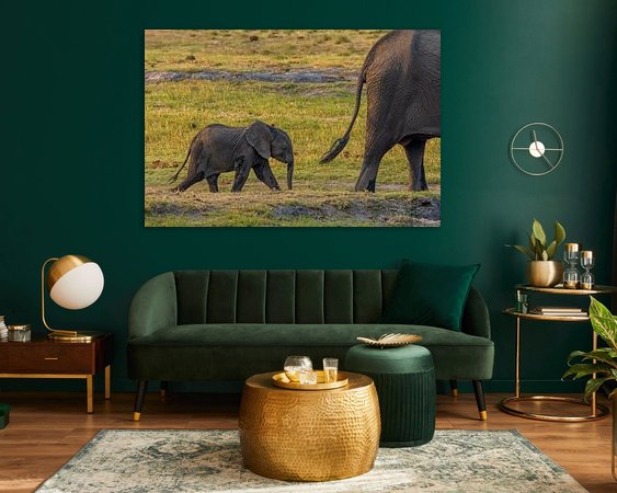 Aperçu de la chambre