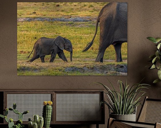 Aperçu de la chambre