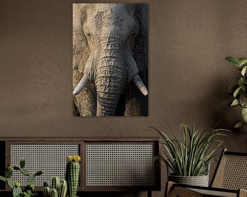 Portrait vertical d'un éléphant
