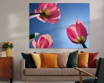 Hollandse tulpen van Jessica Berendsen