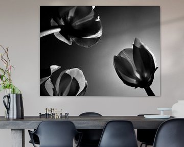 niederländischen Tulpen von Jessica Berendsen