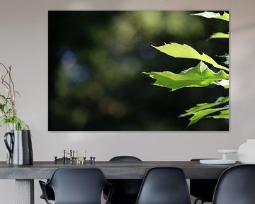 Fris groen van Kaatje Fotografie