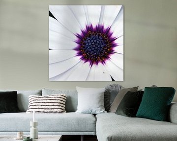 Flower van Kaatje Fotografie