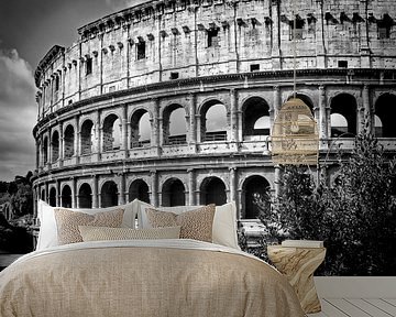 ROME Colosseum  van Melanie Viola