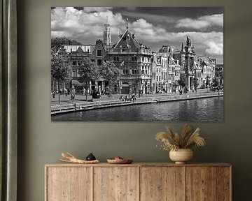Oud Haarlem van Anton de Zeeuw