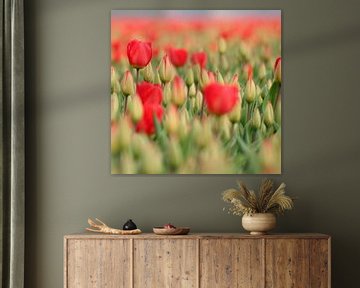 Rote Tulpen von Lory van der Neut
