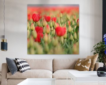 Red tulips van Lory van der Neut
