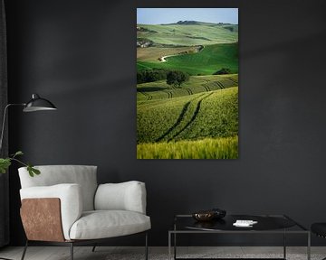 Lijnenspel in een landschap in Toscane van iPics Photography