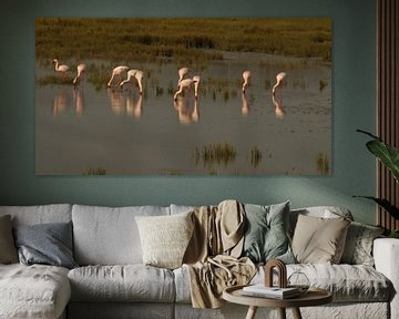 Flamingos by Vera Brok