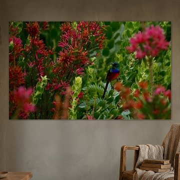 Honingzuiger (5/5) by Vera Brok