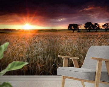 Fields of grain by Nando Harmsen