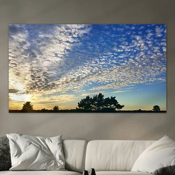 Schapenwolken op de Veluwe 